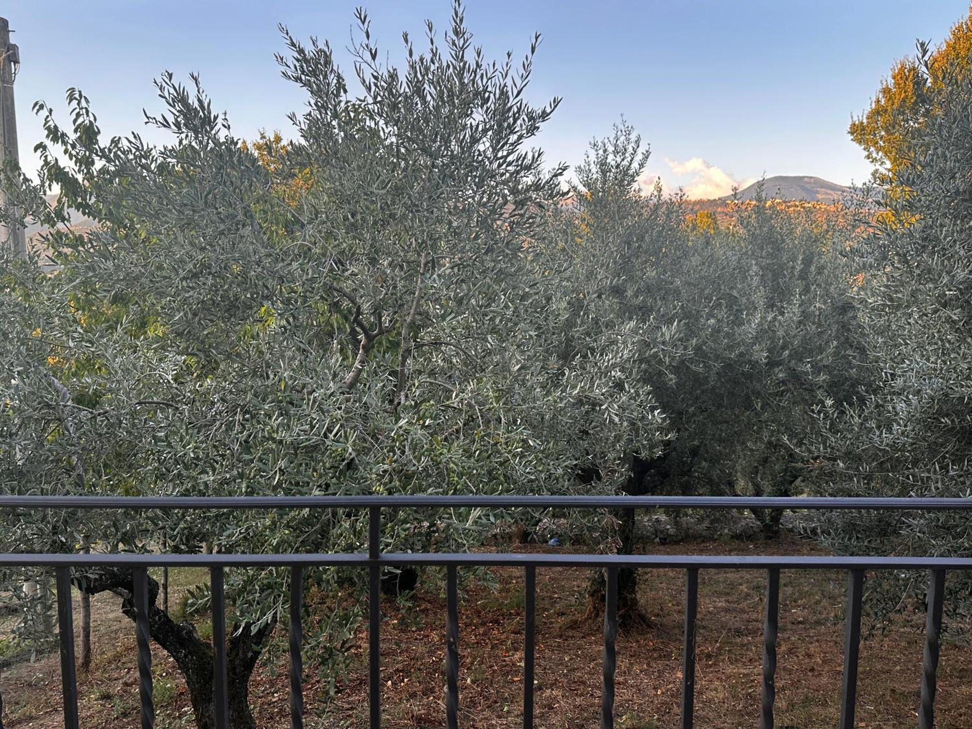 La Casa In Collina Appartement Veroli Buitenkant foto